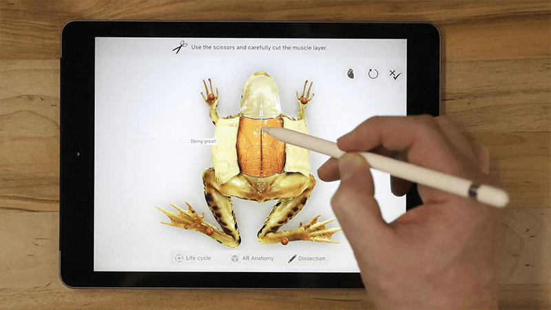 Augmented Reality in Classroom Education