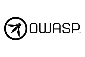 Basic Security Scan with owasp
