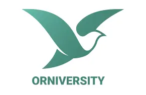 omnivesity