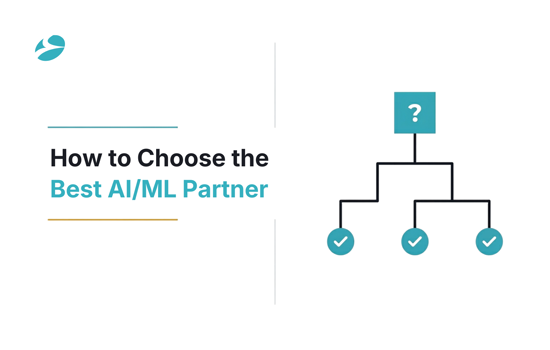 How to Choose the Best AI/ML Development Company for Your Business Needs?